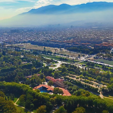 Otantik & Bursa